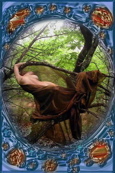 Dans la forêt - Joseph Angilella Auquier