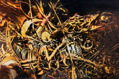 Paroxysme guerrier - Joseph Angilella Auquier