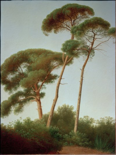 Pins - Joseph August Knip