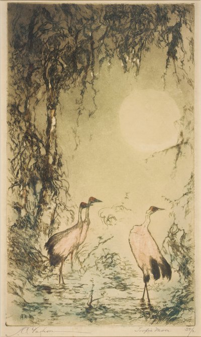 Lune tropicale - Joseph C. Claghorn