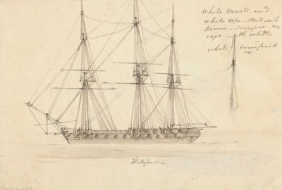 Vue latérale d