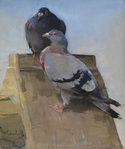 Pigeons sur le toit - Joseph Crawhall