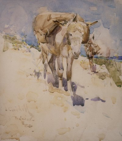 Tanger - Joseph Crawhall