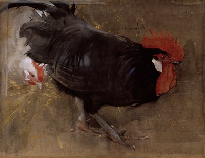 Le coq noir - Joseph Crawhall