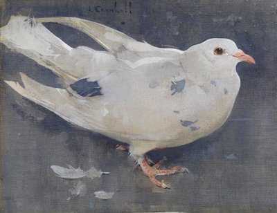 Le Pigeon - Joseph Crawhall