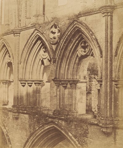 Abbaye de Rivaulx. Les arcs du triforium - Joseph Cundall