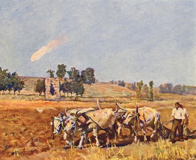 Rome : La campagne de Rome, bœufs au labour - Joseph Felix Bouchor