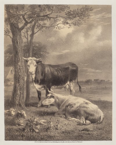 Bétail ruminant - Joseph Foxcroft Cole