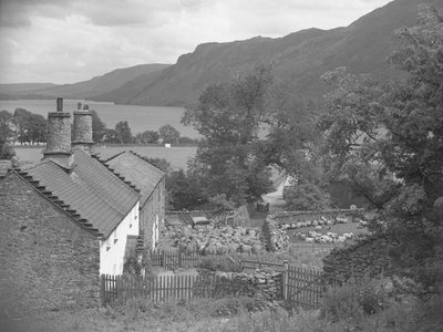 Moutons dans une ferme, lac et montagnes en arrière-plan - Joseph Hardman