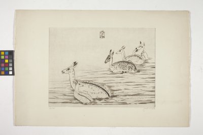 Cerfs indochinois I - Joseph Hecht