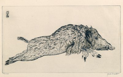 Sanglier (Le Sanglier) - Joseph Hecht