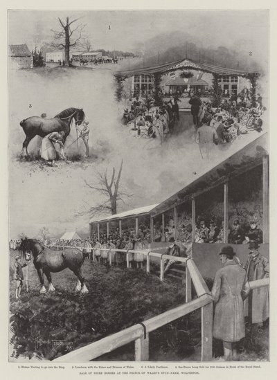 Vente de chevaux de trait à la ferme d