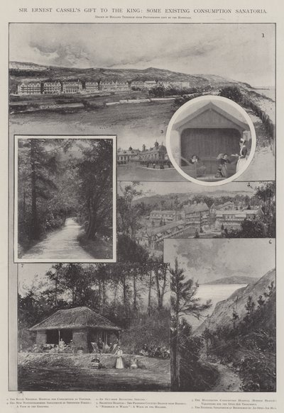 Le cadeau de Sir Ernest Cassel au roi, quelques sanatoriums existants pour la consommation - Joseph Holland Tringham