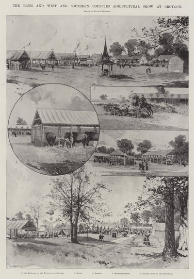 Le Bath and the West and Southern Counties Agricultural Show à Croydon - Joseph Holland Tringham