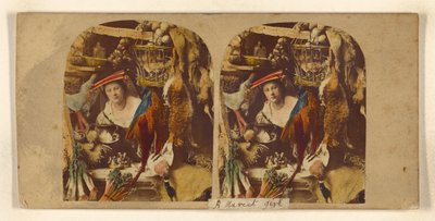 Beau canard, monsieur  - Joseph John Elliott