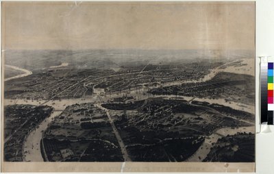 Panorama de Saint-Pétersbourg et des environs vue d