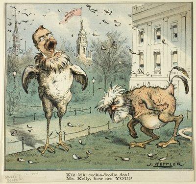 Kik-kik-cock-a-doodle doo ! M. Kelly, comment allez-vous  de Puck - Joseph Keppler