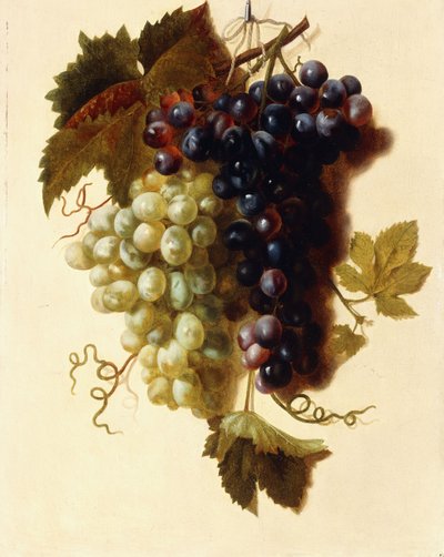 Grappe de raisins verts et rouges suspendue à une corde, vers 1796 - Joseph Laurent Malaine