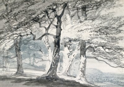 Parc de Norbury, Surrey - Joseph Mallord William (attr.to) Turner