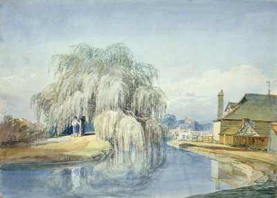 Un saule pleureur - Joseph Mallord William Turner