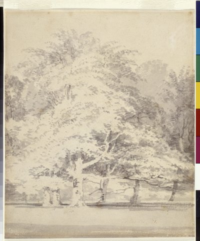 Hêtres - Joseph Mallord William Turner