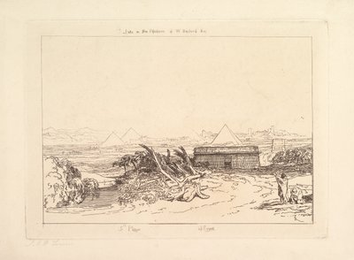Cinquième plaie d