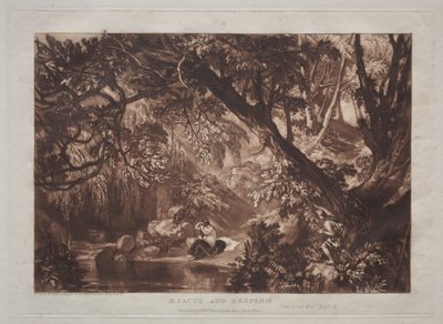 Liber Studiorum : Aesacus et Hespérie - Joseph Mallord William Turner