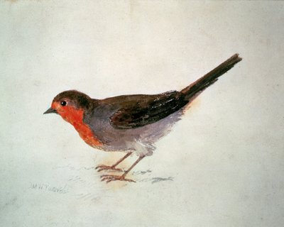 Rouge-gorge, du Livre des oiseaux de Farnley, vers 1816 - Joseph Mallord William Turner