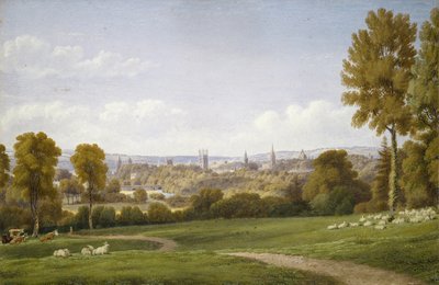 Vue d