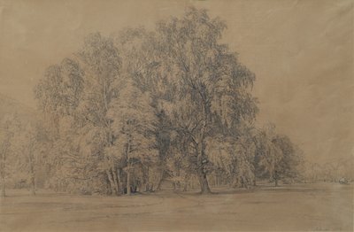 Groupe de bouleaux dans le parc du château de Seebenstein en Basse-Autriche - Joseph Martin Höger