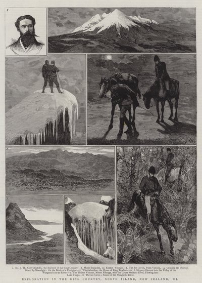 Exploration dans le King Country, île du Nord, Nouvelle-Zélande, III - Joseph Nash