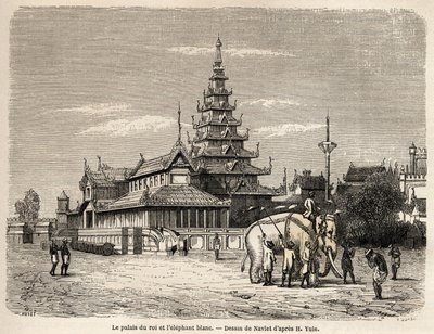 Le palais du roi d