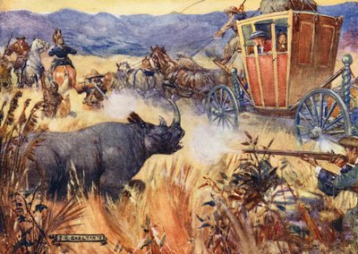 Simon Van der Stel et le rhinocéros - Joseph Ratcliffe (after) Skelton