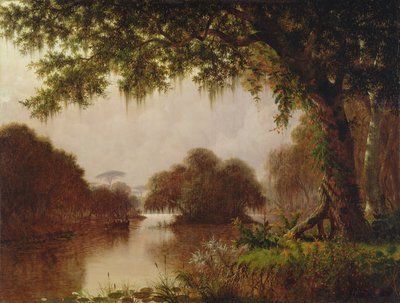 Marais sur le Mississippi, 1871 - Joseph Rusling Meeker