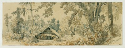 Hutte indigène sur l