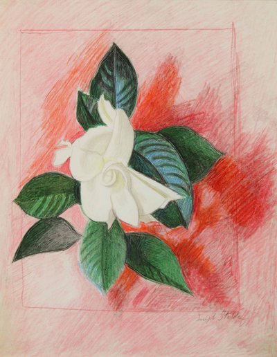 Gardenia, c.1940 (crayon de couleur et mine de plomb sur papier) - Joseph Stella