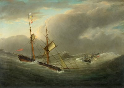 Le Brigantin Tom Cod sauvant l