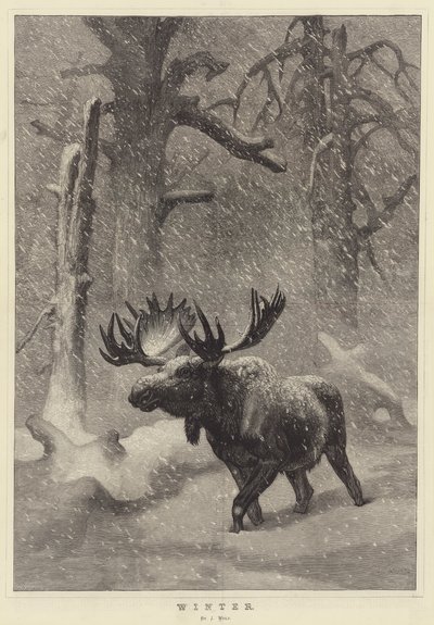 Hiver - Joseph Wolf