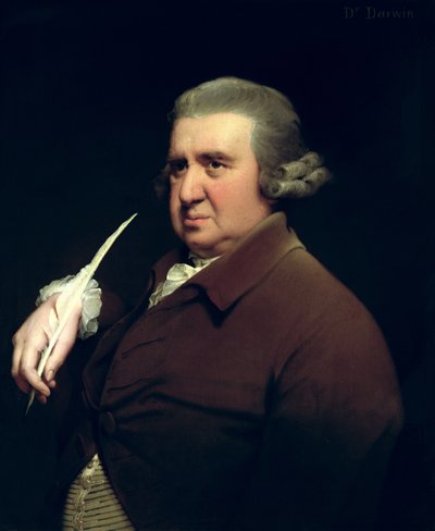 Portrait du Dr Erasmus Darwin (1731-1802) scientifique, inventeur et poète, grand-père de Charles Darwin - Joseph Wright of Derby