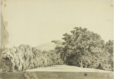 Paysage boisé - Joseph Wright of Derby