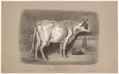 Vache dans une étable (série Étude aux deux crayons par Z. Gengembre) - Joseph Zephyris Gengembre