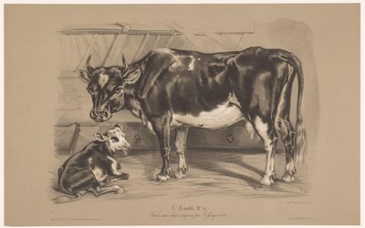 Koe met kalf in een stal - Joseph Zephyris Gengembre