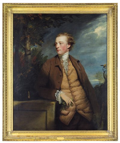 Portrait de Denis Daly - Joshua Reynolds