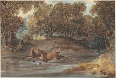 Paysage avec cerfs, Caroline du Nord - Joshua Shaw