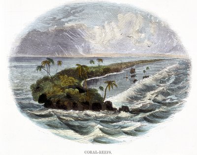 Récifs Coralliens, de Phénomènes de la Nature, 1849 - Josiah Wood Whymper