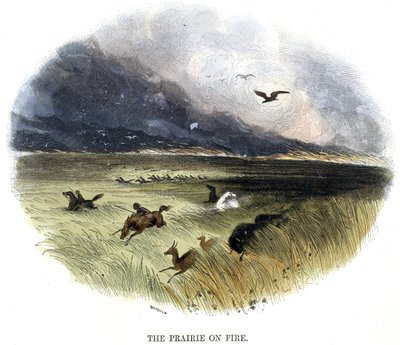 Prairie en Feu, de Phénomènes de la Nature, 1849 - Josiah Wood Whymper