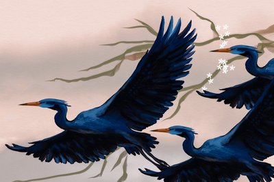 Les oiseaux bleus - Josie George