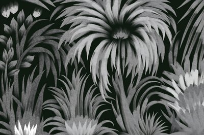 Une jungle tropicale luxuriante - Josie George