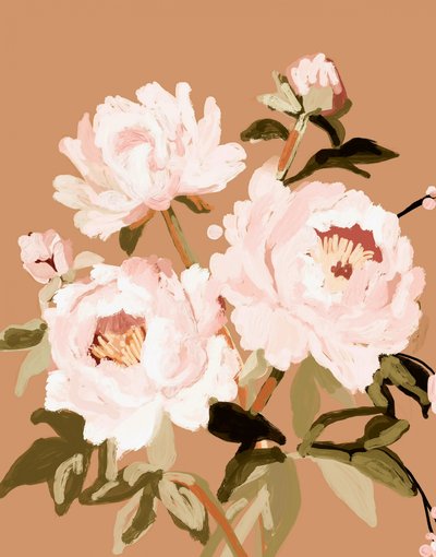 Pivoines rose pâle - Josie George