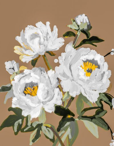 Fleurs de pivoine blanche - Josie George